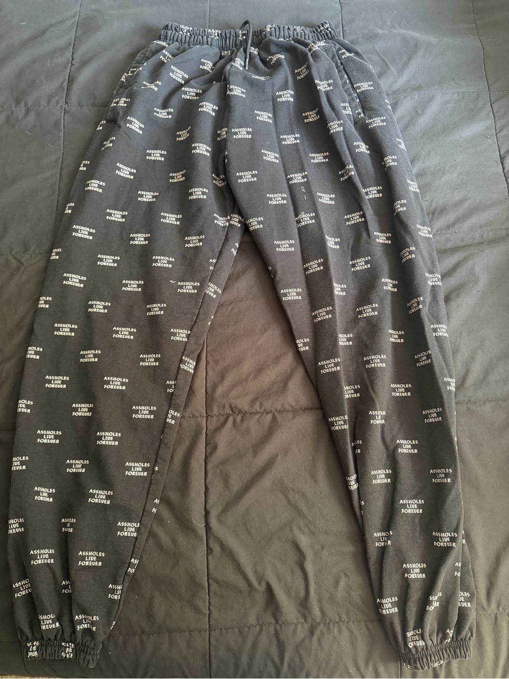 Assholes Live Forever Jogger Sweat Pants